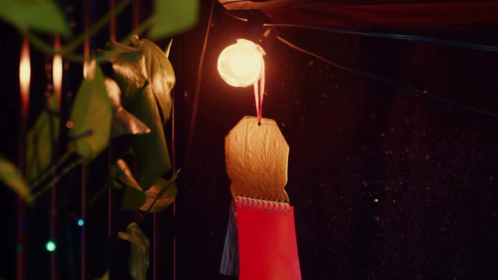 Luz de varal e plantas